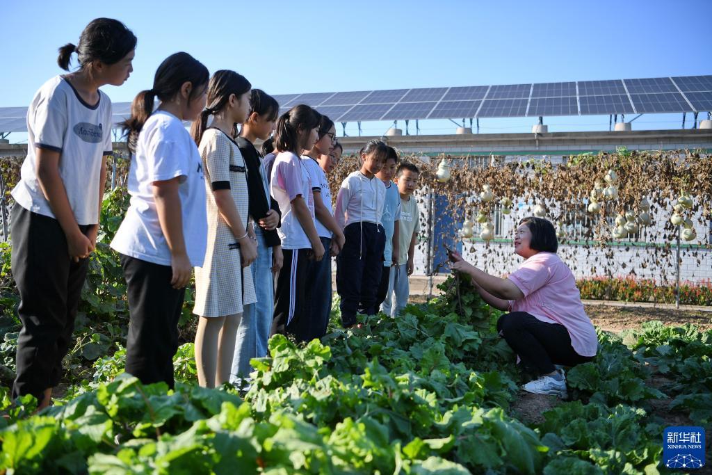 悠悠互娱下载